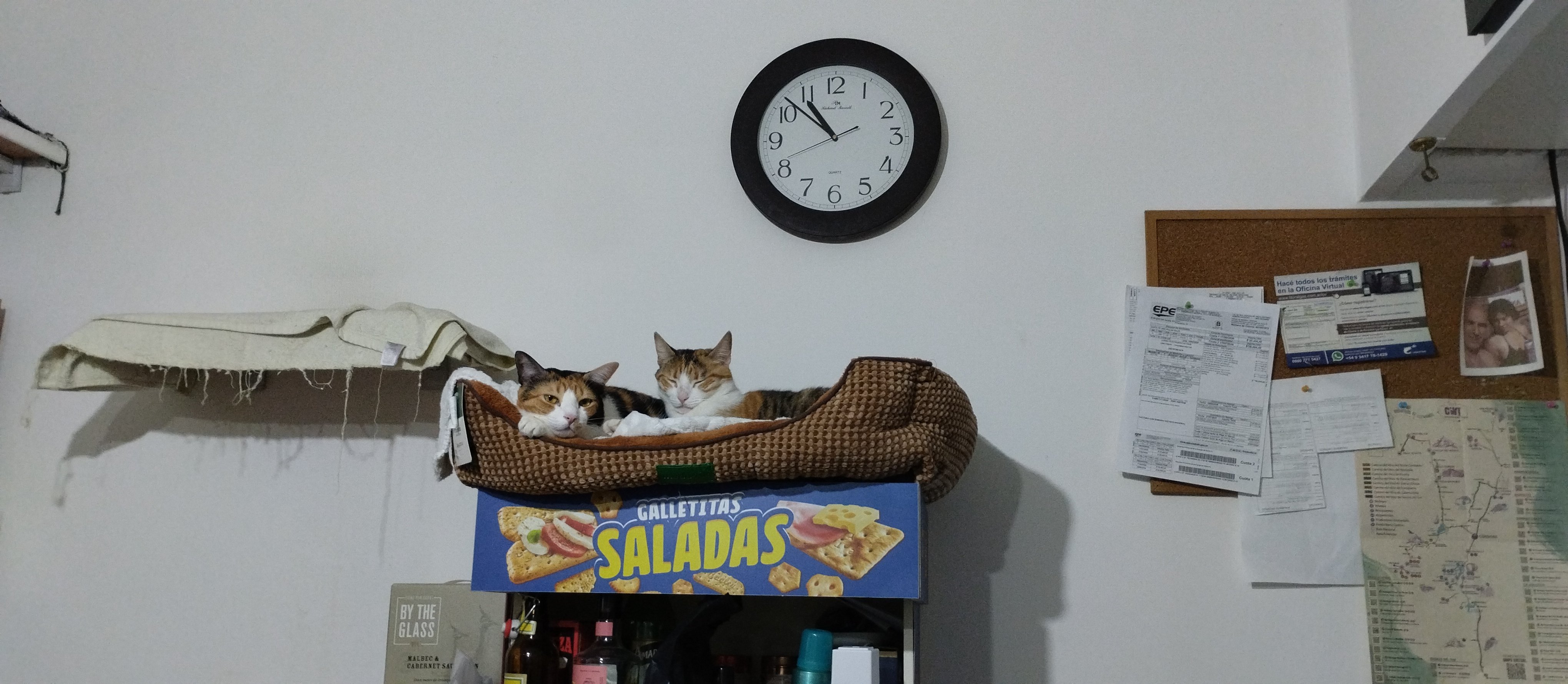 milca